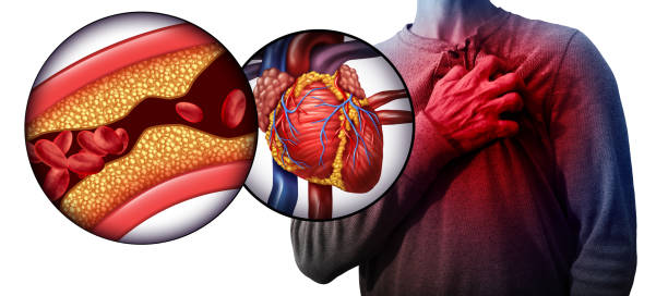 Understanding Blood Pressure and Its Effect on Heart Health