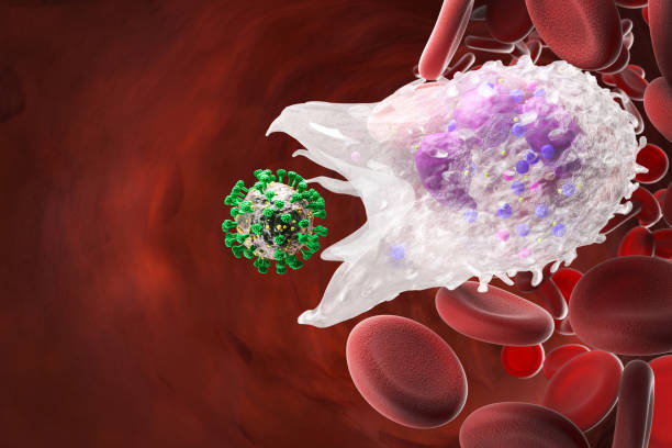 The Role of Cholesterol in Heart Health