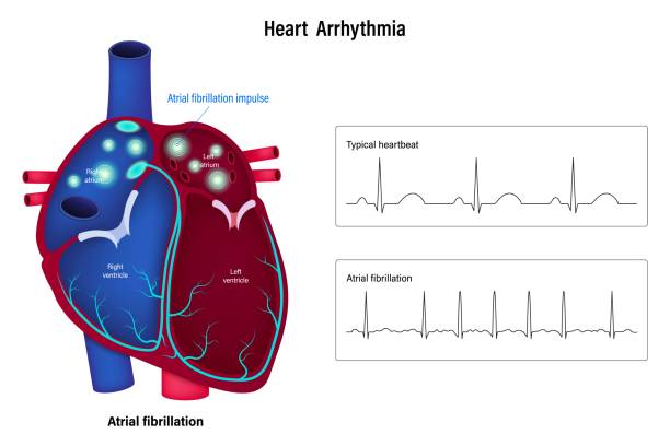 Heart Health: Warning Signs You Shouldn’t Ignore